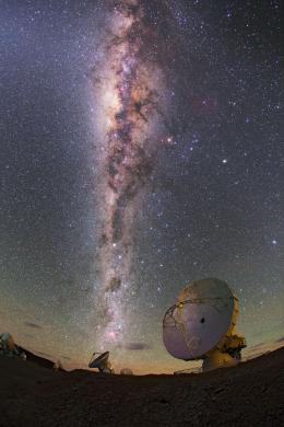 Uhd img 2528 cc