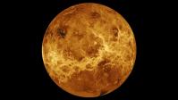 Venus article