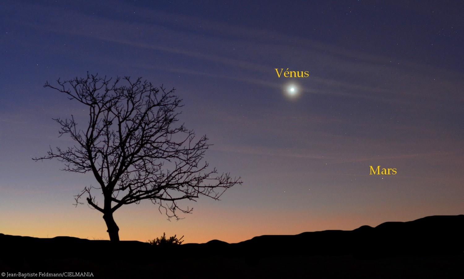 Venus ciel article